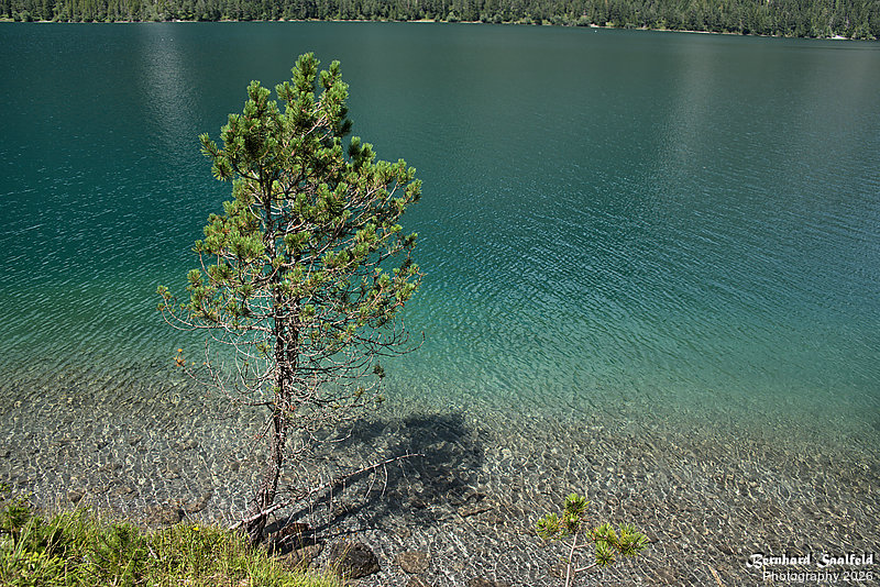 Bernhard Saalfeld - Heiterwanger See (6v9)